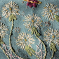 Stitch Club - June