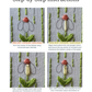 Where Petals Grow - PDF Beginner Friendly Digital Pattern